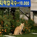 GS25 제부도점 이미지