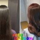 까망머리앤미용실 - 광양시 오류로 59 | 까망머리앤미용실