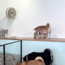 41190-01-07-394 | 서울 용산 실내데이트 코스 추천 이색 놀거리 3곳