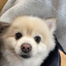 푸른정원 이미지