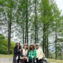안성맞춤대로 | 파인크리크CC 4월 라운딩 후기 | 파인·크리크 18홀 완주, 날씨는 아쉬웠지만 친구들과 즐거운 라운딩