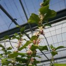 제이디피모터스 오라 이미지