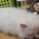이앤박 이미지