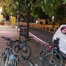 제일이송단 이미지