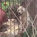 박재홍 농장 이미지