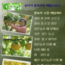 포인트농산