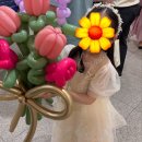 더클라비어음악학원 이미지