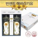 빈센트 이미지