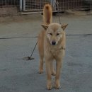 덕구네 이미지