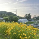 희재농장 이미지