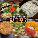 보홀 헤난리조트 근처 2차 술집 안주 맛집 망고포차