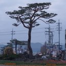 경기둘레길 안성43코스 이미지