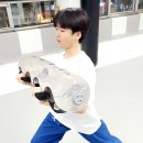 도담태권도장 이미지