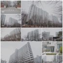 대동셀프주유소 이미지