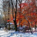 길 위에서 만나는 세계 문화 이미지