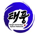 용인대 태풍 태권도장 이미지
