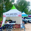 자라섬 꽃 페스타제목없음2025 가평 꽃축제 입장료,상품권,인생샷 후기