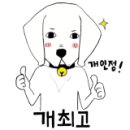 디스크독연구소 이미지