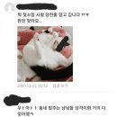 고양이 무늬별 성격 이거 맞나요? 이미지