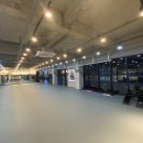 복싱 마스터 이미지