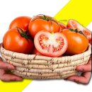 토마토 이미지