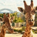 (주)타고 이미지