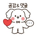 제이미바스켓 이미지