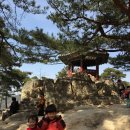 시작! 금강 카약캠핑(부여 백마강) &amp; 논산 딸기체험