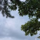 [공지] 강원도 홍천 가볼만한곳 &lt; 강원 20대 명산 남산에 오르다 &gt;