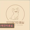 모모애견미용실 이미지