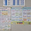 선창초등학교 이미지