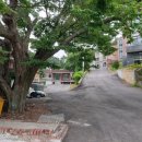 대안경로당 이미지