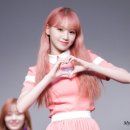 채원 이미지