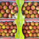 찬기농장 이미지