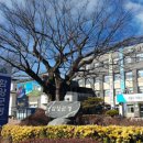 함양생활체육공원 테니스장 이미지