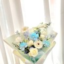 리라소프트 이미지