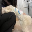 우리 네일봐 이미지
