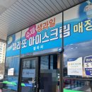 젤마씨 | 제주 이색 디저트 오징어땅콩 젤라또 아이스크림 젤마씨