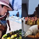 LH감전 꿈꾸는작은도서관 | 바오밥나무🎄 마다가스타르🇲🇬태어난 김에 세계일주🌍