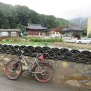 수원-0032 Daum카페