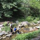 펜션길벗 이미지