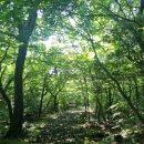 오름PC | 숲나들e 한남 사려니오름숲 예약 방법