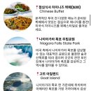 디씨스토어 | 뉴욕여행 나이아가라 투어 당일치기 추천 후기