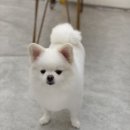 라미살롱 이미지