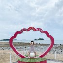 조개체험장  대죽 이미지