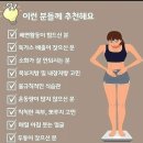 고은인셀덤