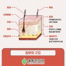 쾌통한의원 이미지