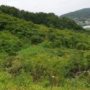 대곡면-6 이미지