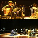 백양루시드 이미지