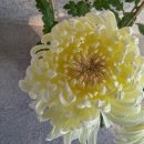 수화커피숍 이미지